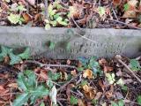 image of grave number 750336